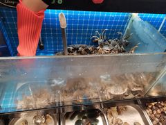 -苏格里岛自助海鲜火锅烧烤(大汉悦中心店)