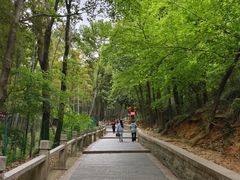 -银吉姆健身(景城邻里中心馆)