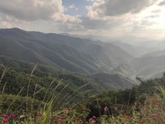 -四明山国家森林公园