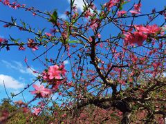 -象头山国家级自然保护区