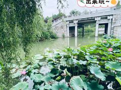 -洛阳市隋唐城遗址植物园