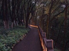 -上海市保健医疗中心