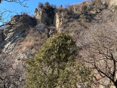 -北京鹫峰国家森林公园