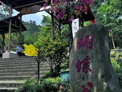 -鼎湖山风景区