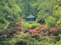 -岳麓山风景名胜区