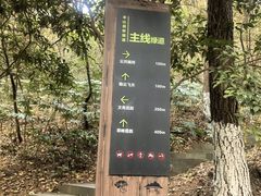 -杭州半山国家森林公园