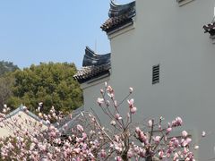 -宁波柏悦酒店·钱湖渔港