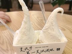 -野人先生Gelato(上海长宁龙之梦店)