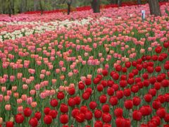 -森林公园(尖草坪区)