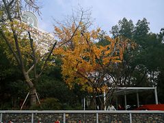 -兰溪青年公园