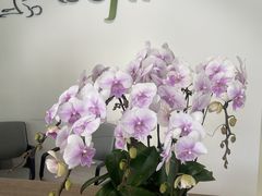 -Isofit 普拉提·婵柔工作室