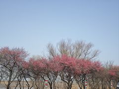 -东山风景区(洞庭东山)