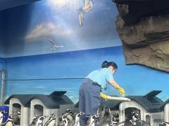 -海合安武汉极地海洋公园