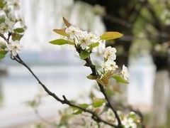 -天鹅湖体育公园