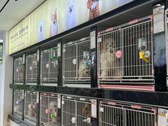 -翊宠yipet猫狗购宠庄园犬舍•猫舍