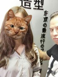 点击看大图 -藤野造型·专业烫染店