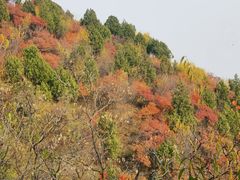 -北京西山国家森林公园