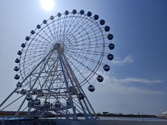 -秦皇岛乐岛海洋王国