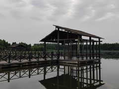 -溱湖国家湿地公园