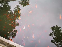 -南京东郊国宾馆
