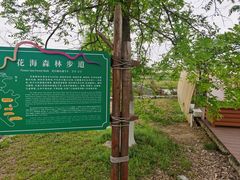 -江苏三台山国家森林公园