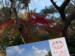 -汇龙潭