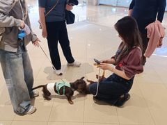 -CityOn熙地港西安购物中心