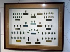 -上海昆虫博物馆