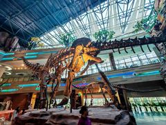 -安徽省地质博物馆