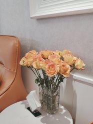 -YESIDO椰岛美容