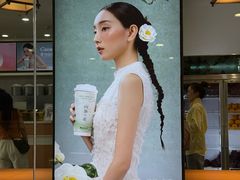 -雾与山茶(大禹城店)