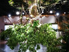 -精绝七日-新疆尼雅遗址数字大展【拉法耶文化艺术中心】