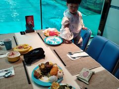 -帝企鹅自助餐厅•儿童岛•真企鹅(长隆企鹅酒店)