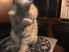 -不舍昼夜咖啡馆