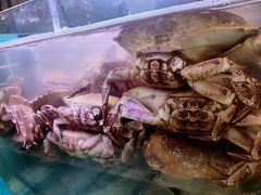 -丰卓会海鲜自助(中润大道店)