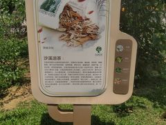 -中山市树木园