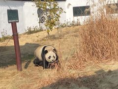 -杭州野生动物世界