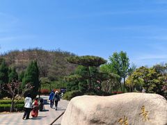 -洛阳古墓博物馆