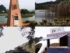 -南宁花花大世界景区