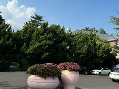 -棒棰岛宾馆景区