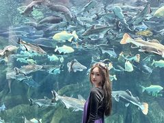 -波塞冬旅游度假区