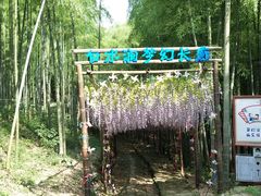 -众神白水涧景区