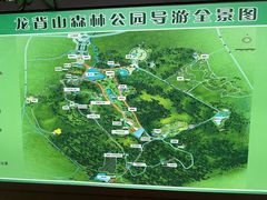 -宜兴龙背山森林公园