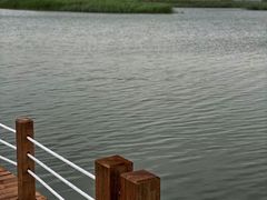 -苏州太湖湖滨国家湿地公园