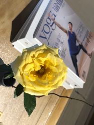 -FineYoga梵音瑜伽·普拉提