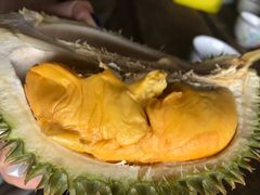 -宝盛园民宿