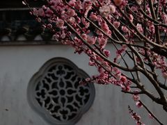 -雨花胜境
