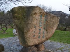 -香雪海