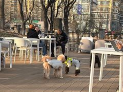 -小意思咖啡店(草桥店)