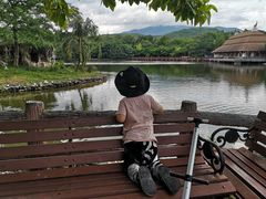 -清迈夜间动物园